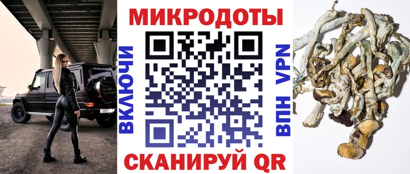 Галлюциногенные грибы Psilocybine cubensis  купить  сайты  Первомайск 